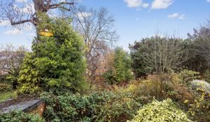 Photo 5- click for photo gallery